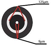 single-mode-fiber-optic-cable-9-125-internal-structure